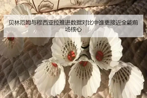 贝林厄姆与穆西亚拉推进数据对比中谁更接近全能前场核心