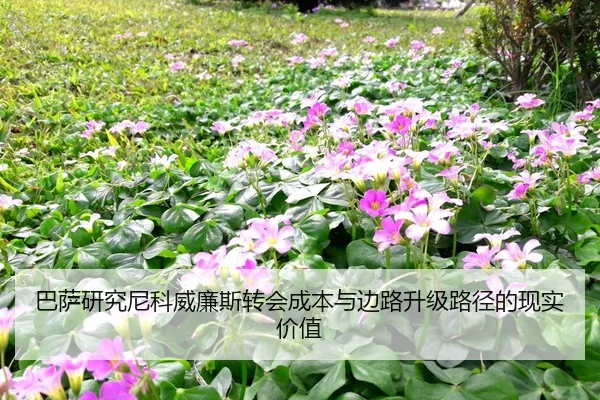 巴萨研究尼科威廉斯转会成本与边路升级路径的现实价值