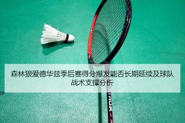 森林狼爱德华兹季后赛得分爆发能否长期延续及球队战术支撑分析